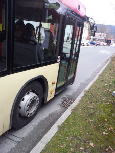 Foto: STW Bus hält an Wiese.